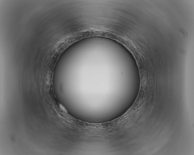 X0000111871110200907231146