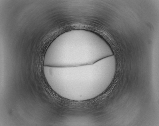 X0000111871111200907231146
