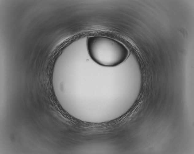 X0000111871112200907231146