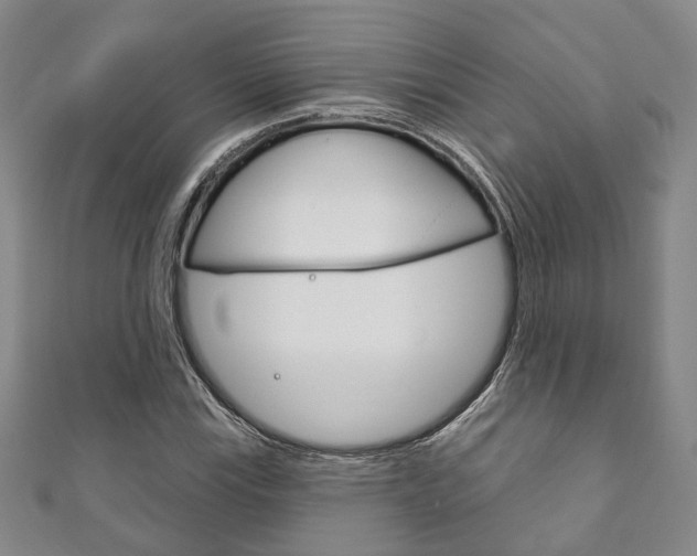 X0000111871115200907231146