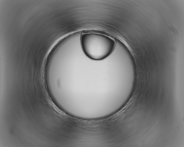 X0000111871116200907231146