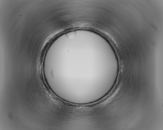 X0000111871117200907231146