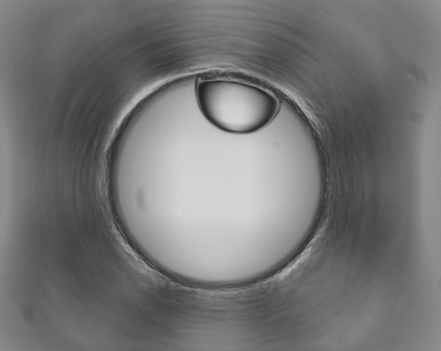 X0000111871118200907231146