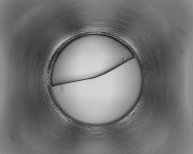 X0000111871119200907231146