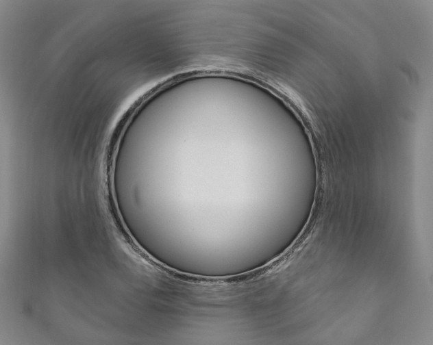 X0000111871120200907231146