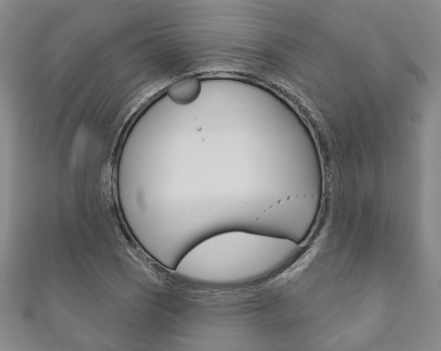 X0000111871121200907231146