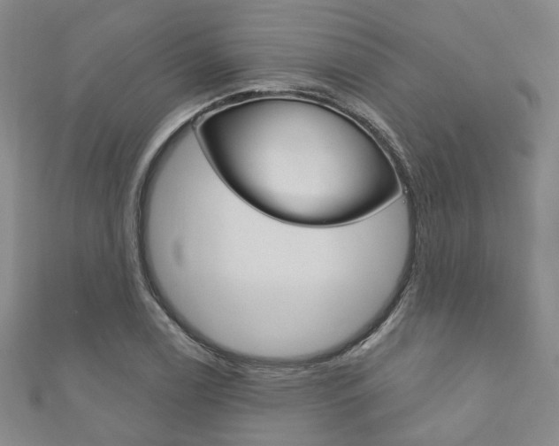 X0000111871122200907231146