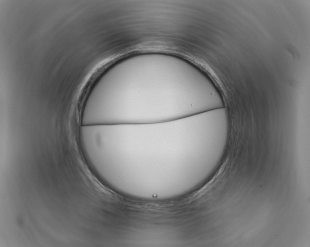X0000111871123200907231146
