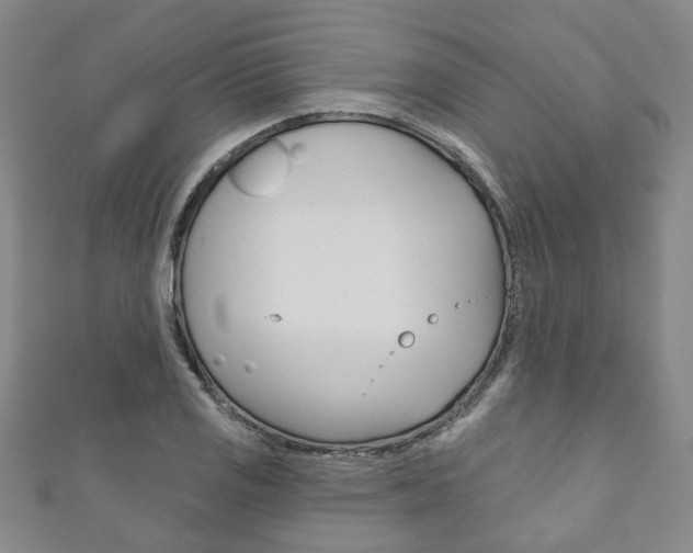 X0000111871125200907231146