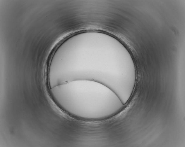 X0000111871126200907231146