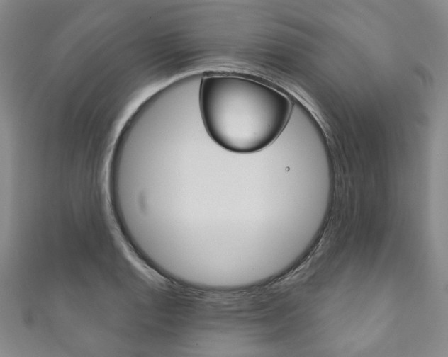 X0000111871128200907231146