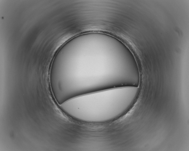 X0000111871129200907231146