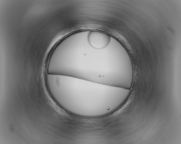 X0000111871130200907231146