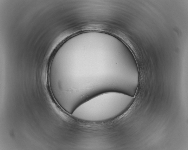 X0000111871131200907231146
