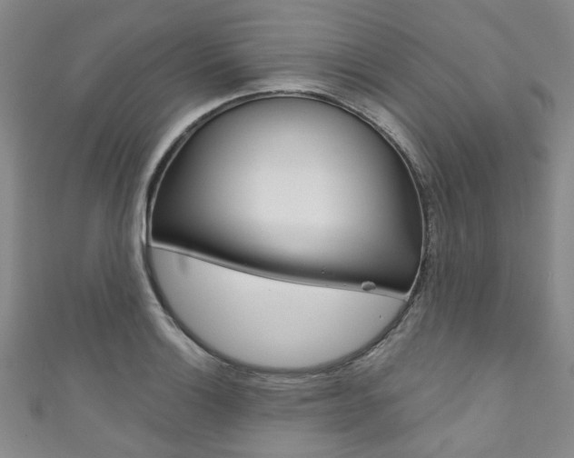 X0000111871132200907231146