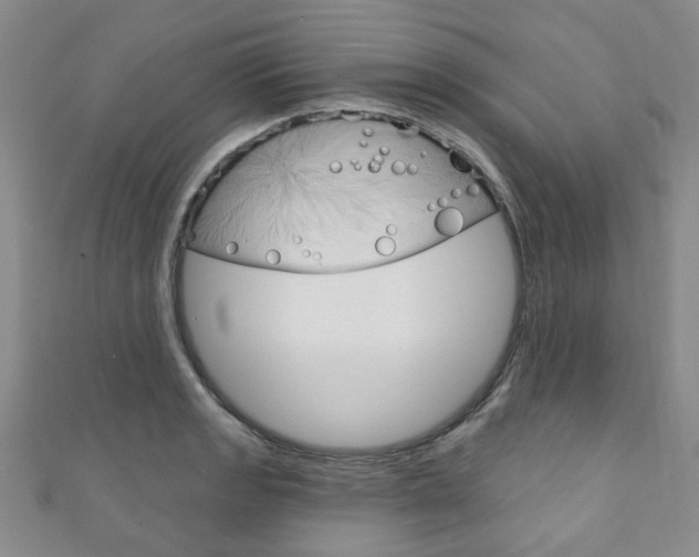 X0000111871133200907231146