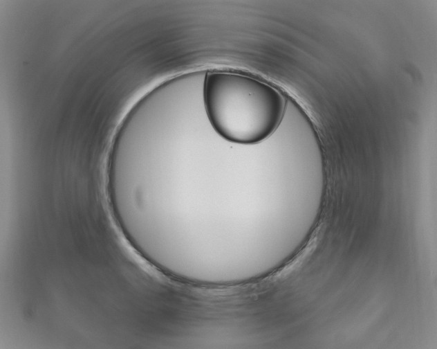 X0000111871134200907231146