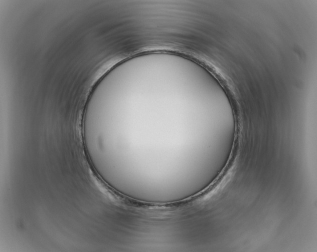 X0000111871137200907231146
