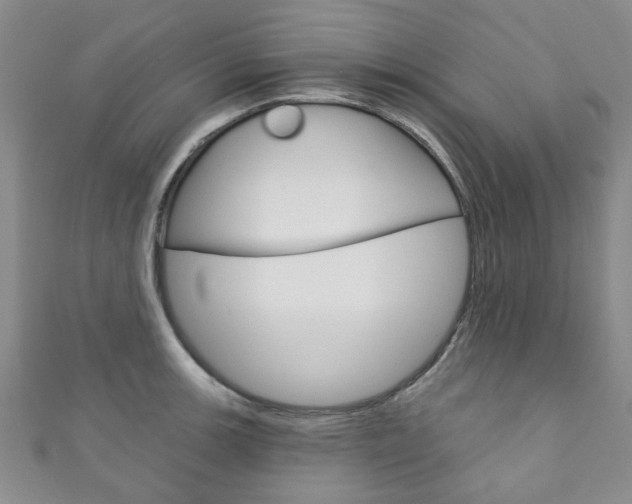 X0000111871139200907231146
