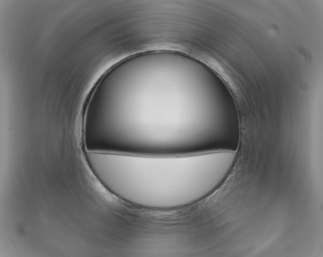 X0000111871140200907231146