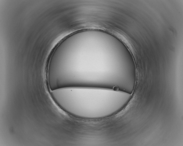 X0000111871141200907231146