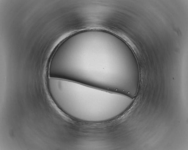X0000111871142200907231146