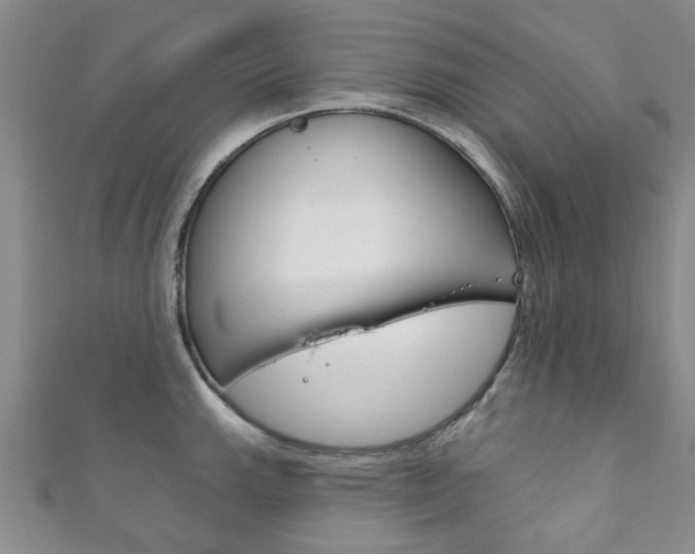 X0000111871143200907231146