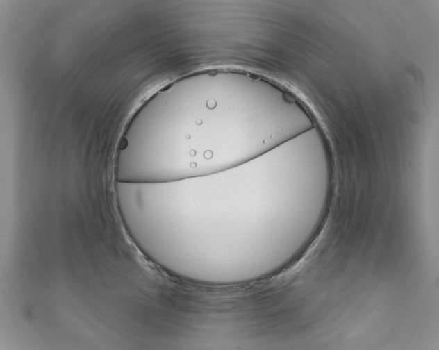 X0000111871145200907231146