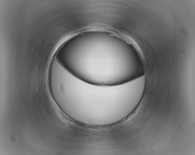 X0000111871146200907231146