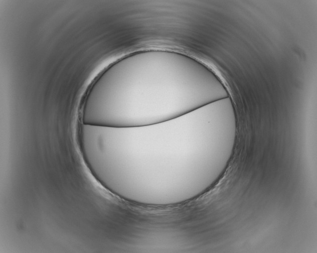 X0000111871147200907231146