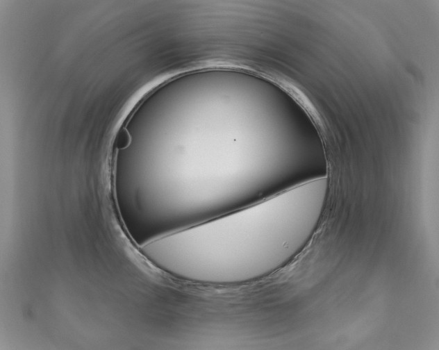 X0000111871148200907231146