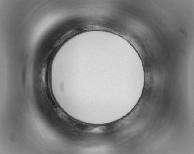 X0000111871150200907231146
