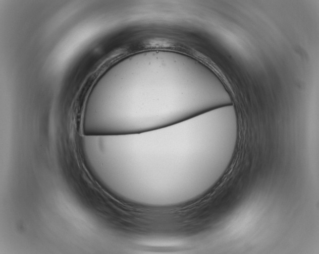 X0000111871151200907231146