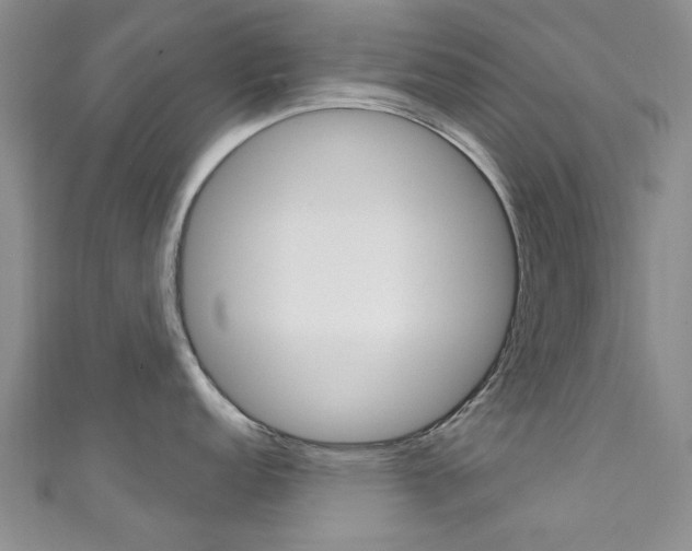 X0000111871152200907231146