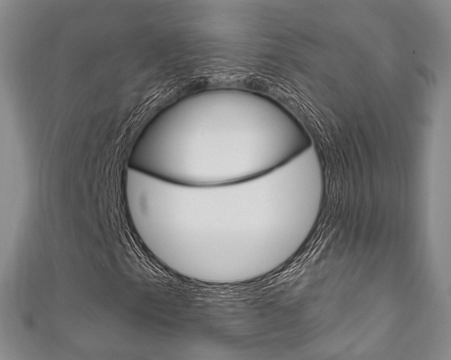 X0000111871153200907231145