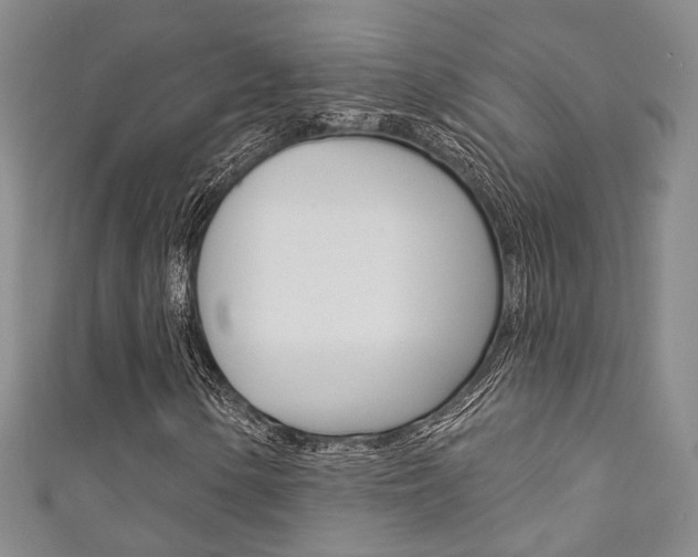 X0000111871154200907231145