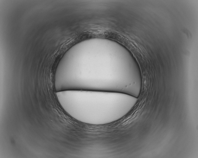 X0000111871156200907231145