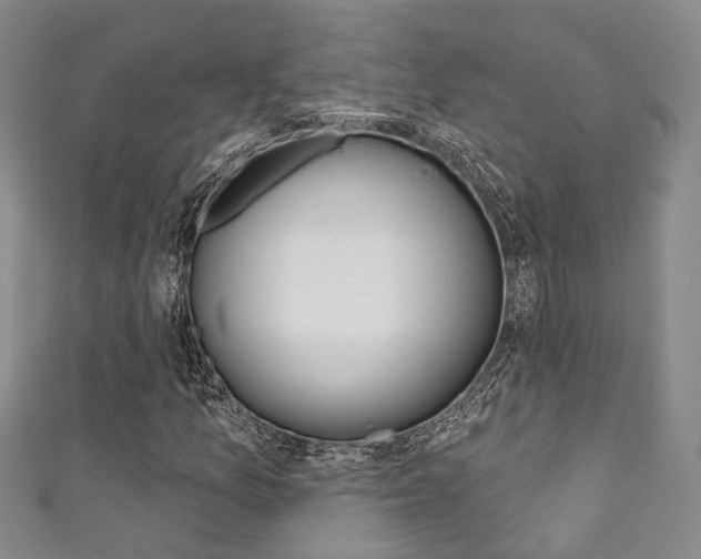 X0000111871157200907231145