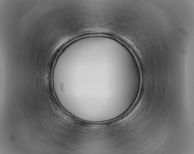 X0000111871163200907231145