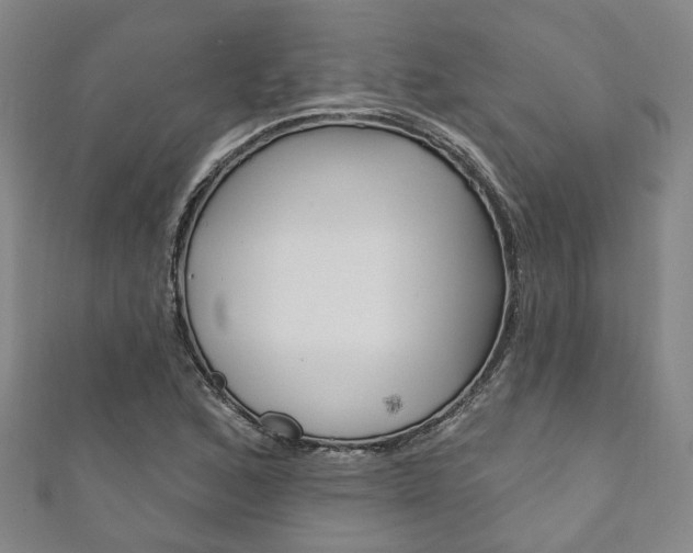 X0000111871168200907231145