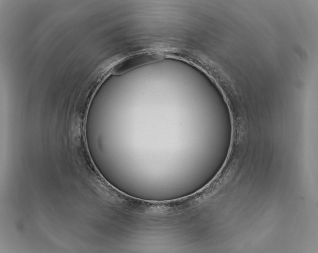 X0000111871169200907231145