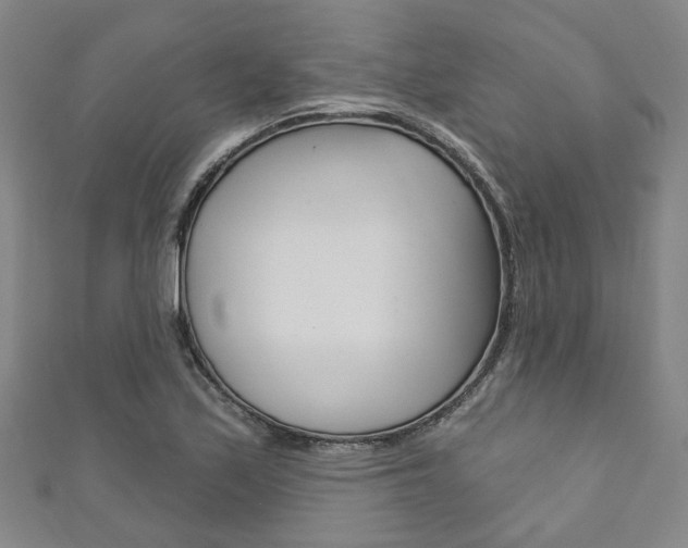 X0000111871171200907231145