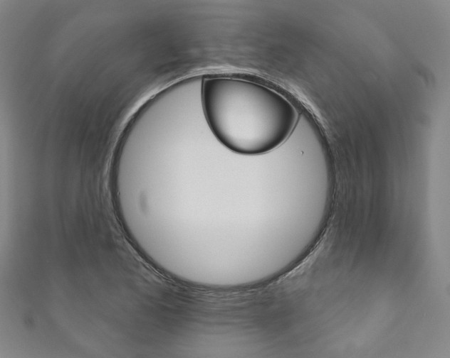 X0000111871173200907231145