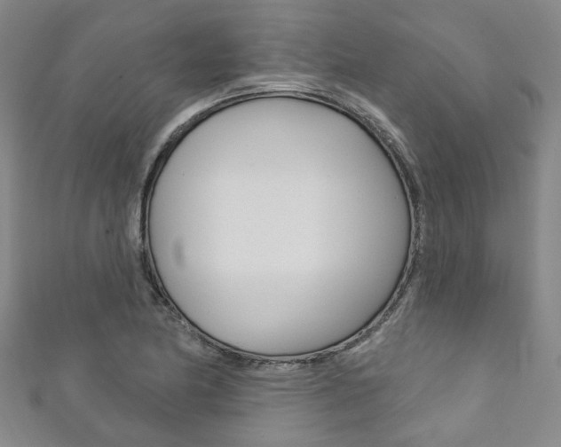 X0000111871174200907231145