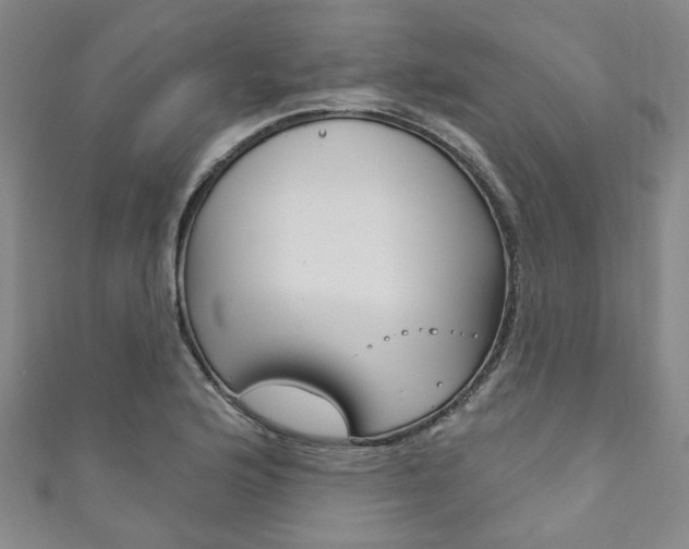 X0000111871176200907231145