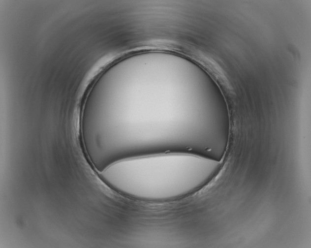 X0000111871180200907231145