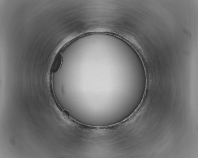 X0000111871181200907231145