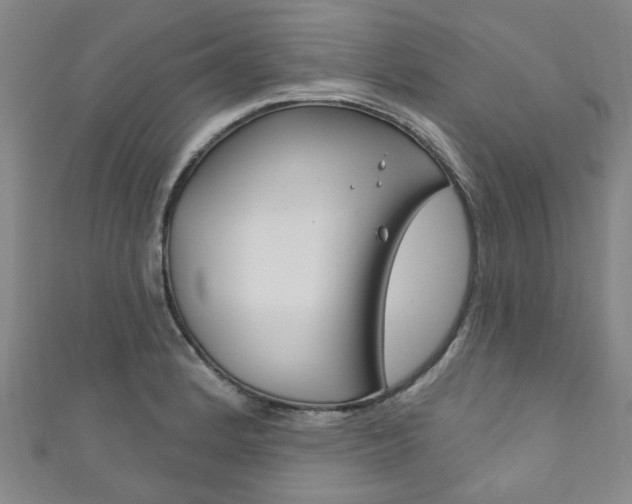 X0000111871184200907231145