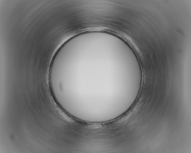 X0000111871186200907231145