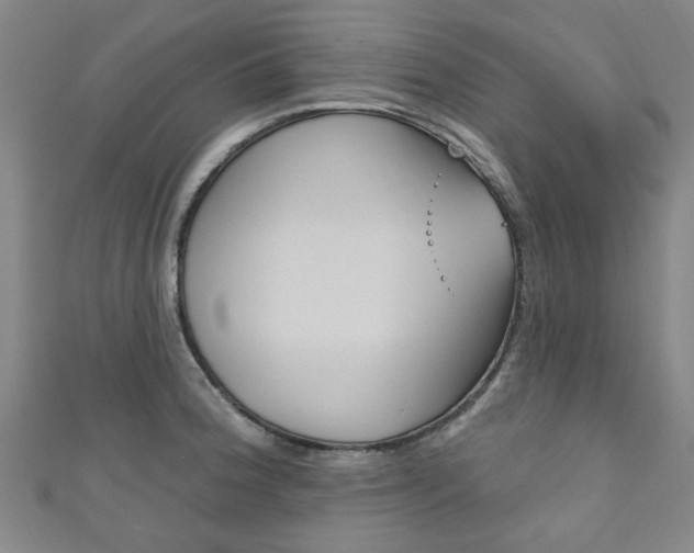X0000111871188200907231145